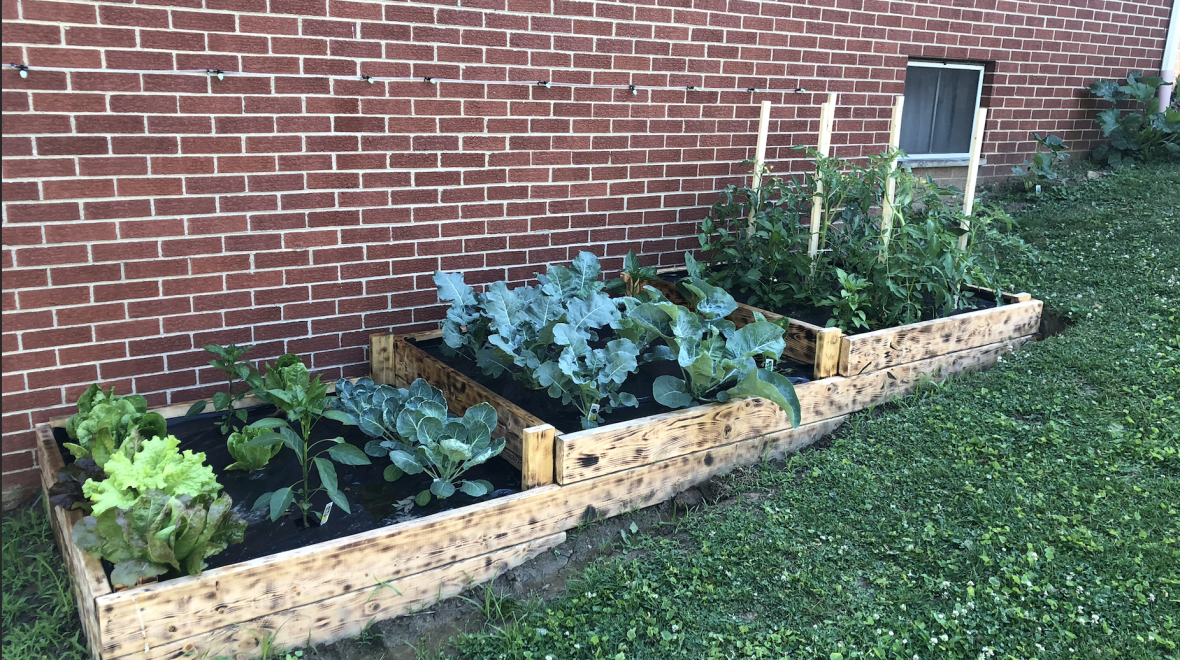 Automated Garden